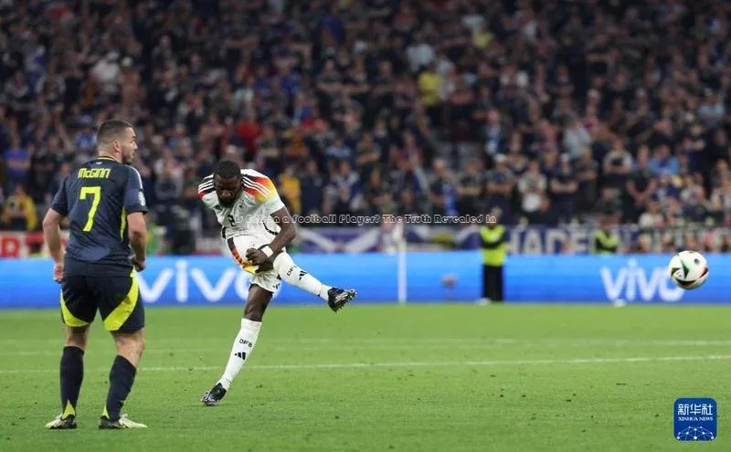 乐虎8国际阿里尔公司Is Edison a Football Player? The Truth Revealed in English