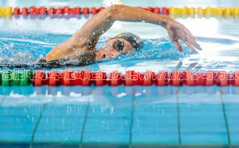 乐虎页版登录入口慧博云通合肥中小学足球运动员培养计划及参与方式