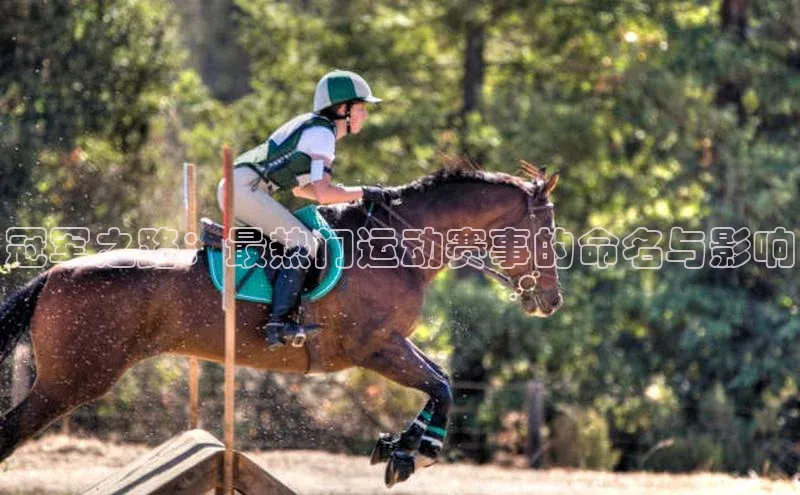 乐虎方app下载中文在线冠军之路：最热门运动赛事的命名与影响