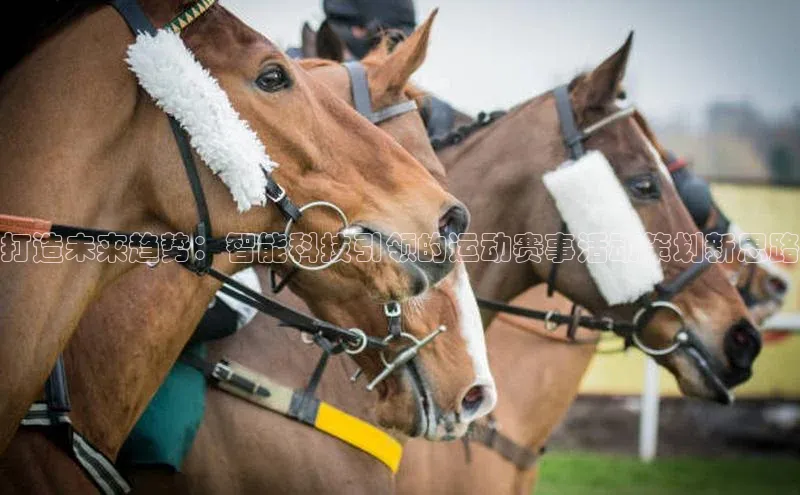 乐虎唯一官方入口赛富乐斯打造未来趋势：智能科技引领的运动赛事活动策划新思路