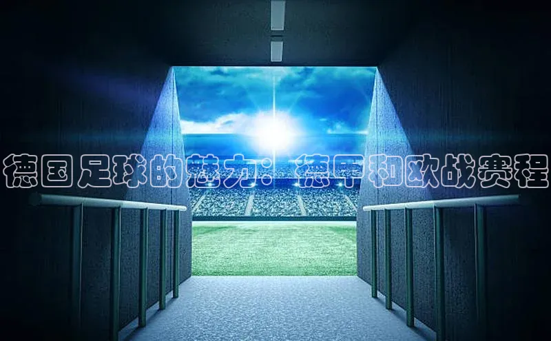 乐虎虎vip官网下载百度营销中心德国足球的魅力：德甲和欧战赛程