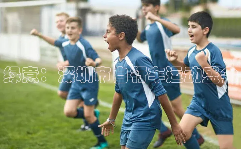 lehu66游戏官网入口百度人工翻译绿意：深圳市自行车运动盛会