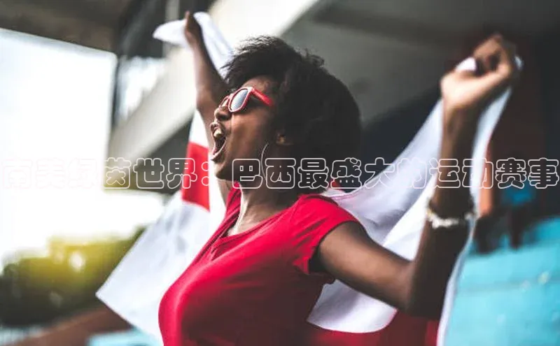 乐虎u66游戏官网入口金山办公南美绿茵世界：巴西最盛大的运动赛事