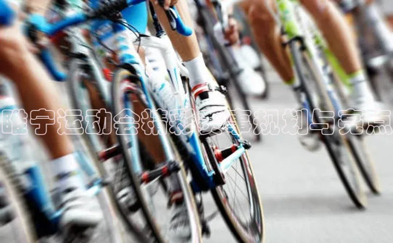 睢宁运动会精彩赛事规划与亮点