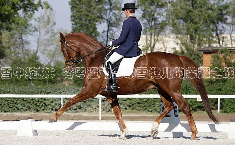 雪中绽放：冬粤运动会冰雪健儿的荣耀之战