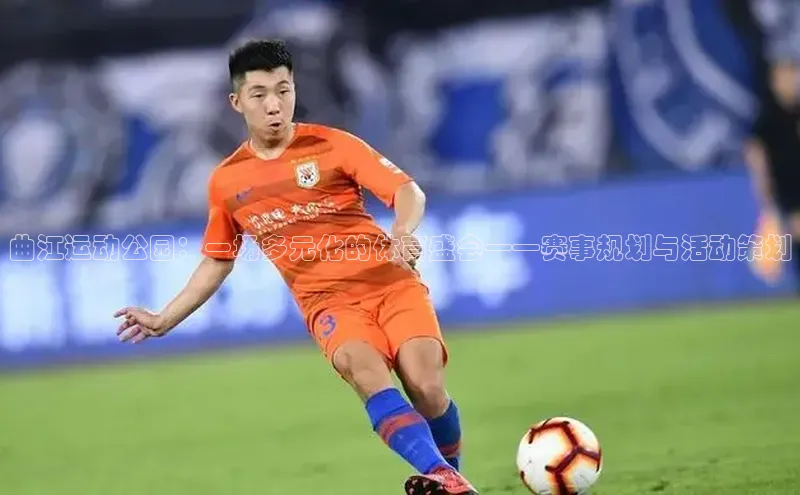 曲江运动公园：一场多元化的体育盛会——赛事规划与活动策划