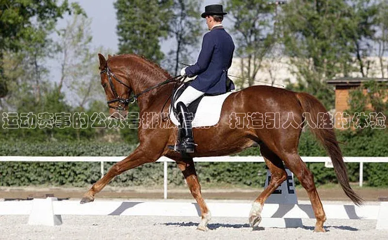 运动赛事的公众号排版指南：打造引人入胜的体验