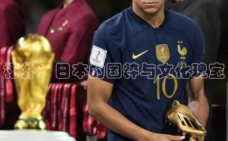 相扑：日本的国粹与文化瑰宝