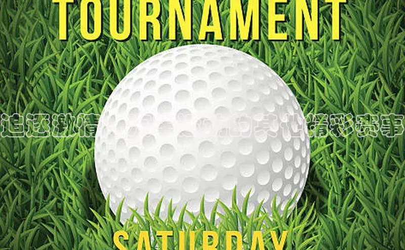 追逐激情：汽车运动的其他精彩赛事