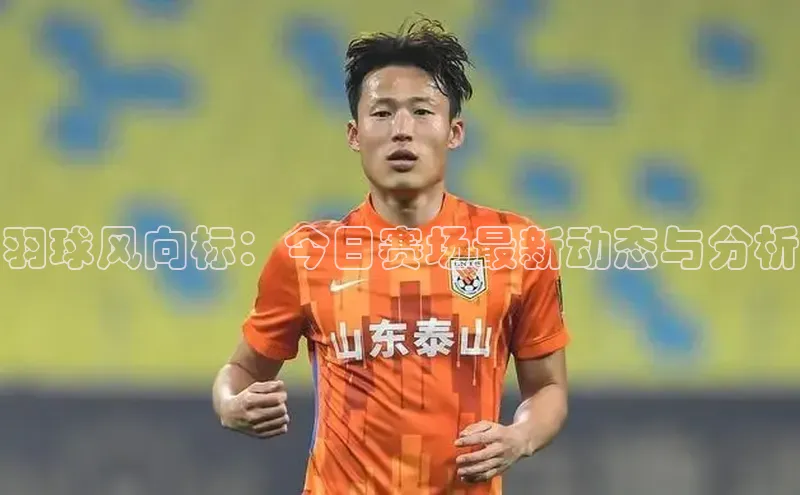 羽球风向标：今日赛场最新动态与分析