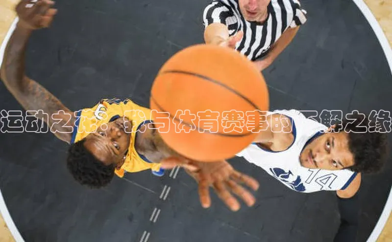 运动之花：我与体育赛事的不解之缘