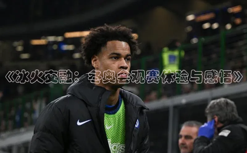 《冰火交融：冬奥会观赛体验与感悟》