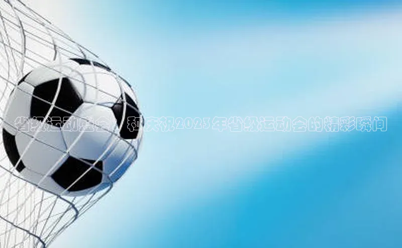 省级运动盛会：和庆祝2023年省级运动会的精彩瞬间