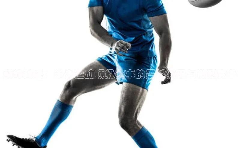 乐虎官方app下载