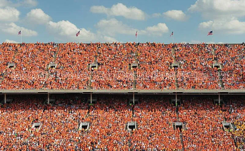 极限挑战：2024年世界极限运动锦标赛精彩回顾与深度