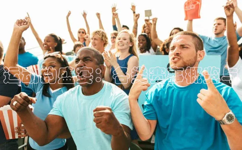 运动的盛宴：各类赛事概览与